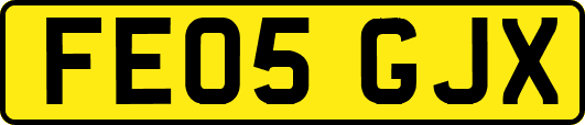 FE05GJX