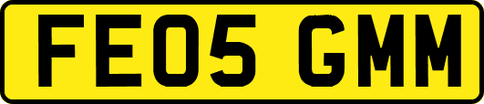 FE05GMM