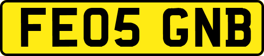 FE05GNB