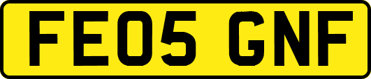 FE05GNF
