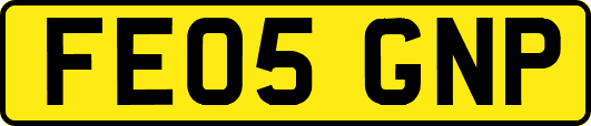 FE05GNP
