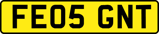 FE05GNT