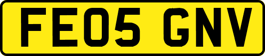 FE05GNV