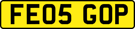 FE05GOP