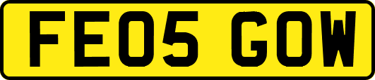 FE05GOW