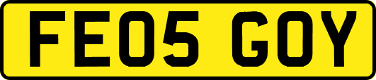 FE05GOY