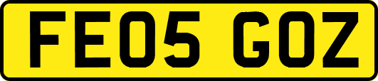 FE05GOZ