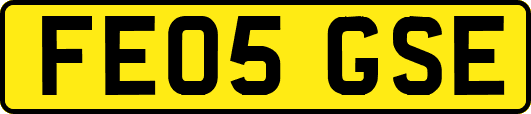 FE05GSE