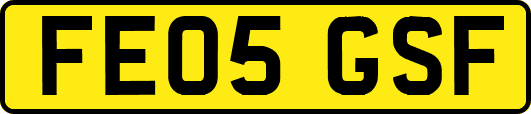 FE05GSF