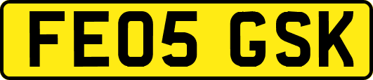 FE05GSK