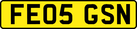 FE05GSN