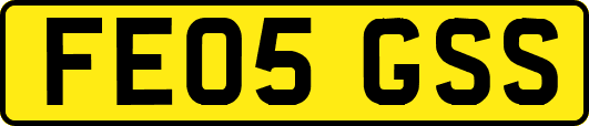 FE05GSS