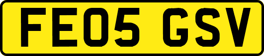FE05GSV