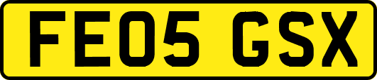 FE05GSX