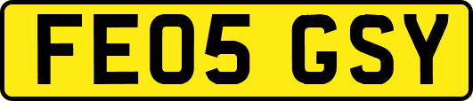 FE05GSY