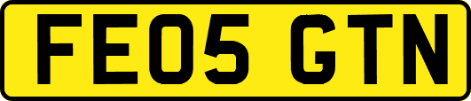 FE05GTN