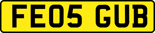 FE05GUB