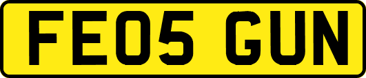FE05GUN