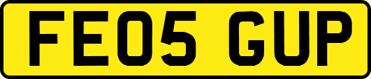 FE05GUP