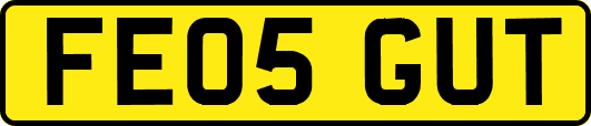 FE05GUT
