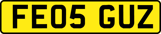 FE05GUZ