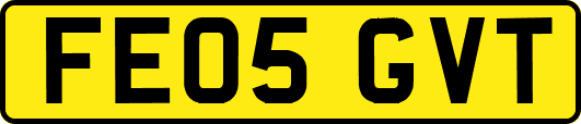 FE05GVT