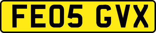 FE05GVX
