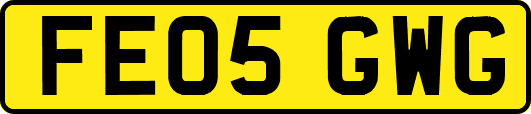 FE05GWG