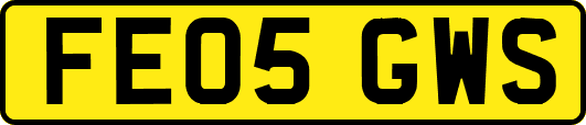 FE05GWS