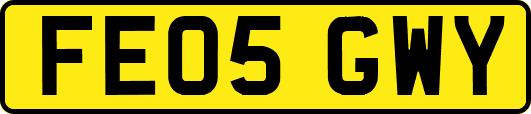 FE05GWY