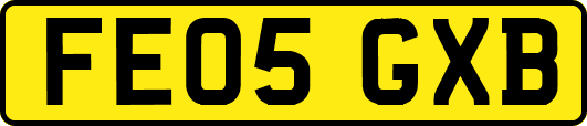 FE05GXB