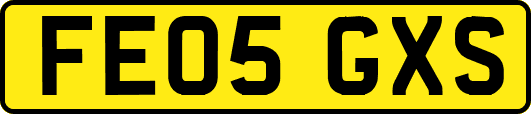 FE05GXS