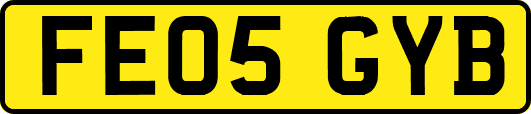 FE05GYB