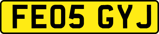 FE05GYJ