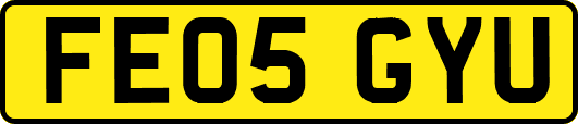 FE05GYU