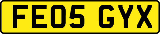 FE05GYX
