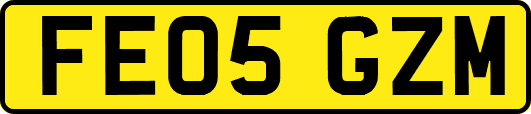 FE05GZM