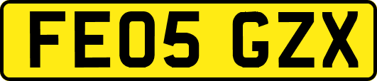 FE05GZX