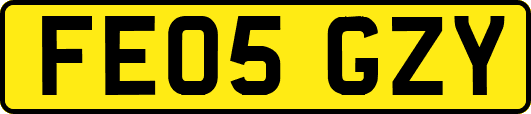 FE05GZY