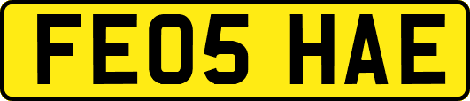 FE05HAE