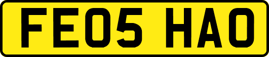 FE05HAO