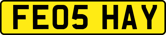 FE05HAY
