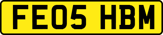 FE05HBM