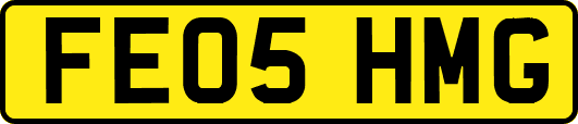 FE05HMG