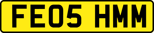 FE05HMM