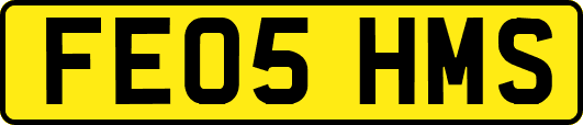 FE05HMS