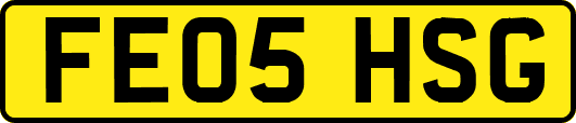FE05HSG