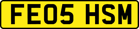 FE05HSM