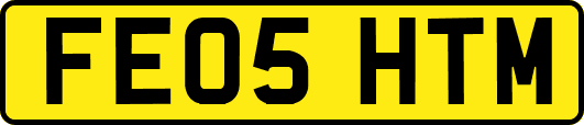 FE05HTM