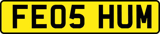 FE05HUM